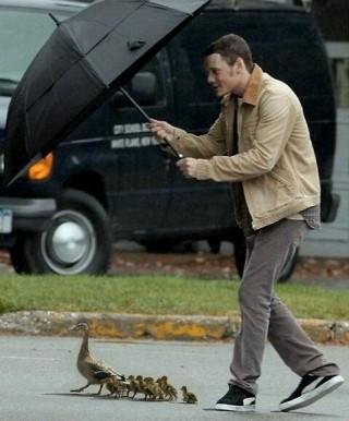 In memory of ANTON YELCHIN
