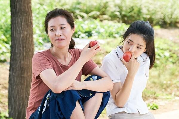 ‘현모양처가 꿈이었다’ 말하던 엄마가 대단하게 느껴지는 엄마 캐릭터들