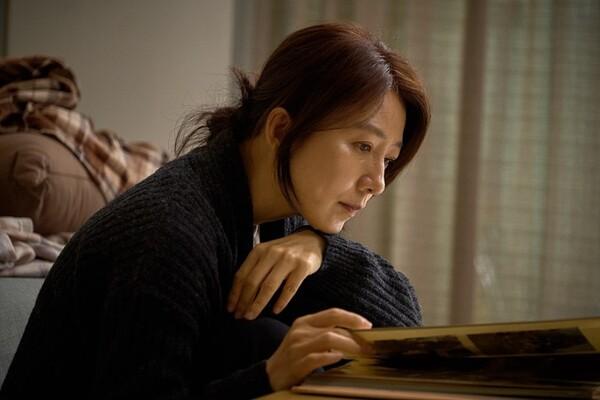 놓쳤다면 보고 가자! 드라마로 활약 중인 배우들의 2019 스크린 대표작 5