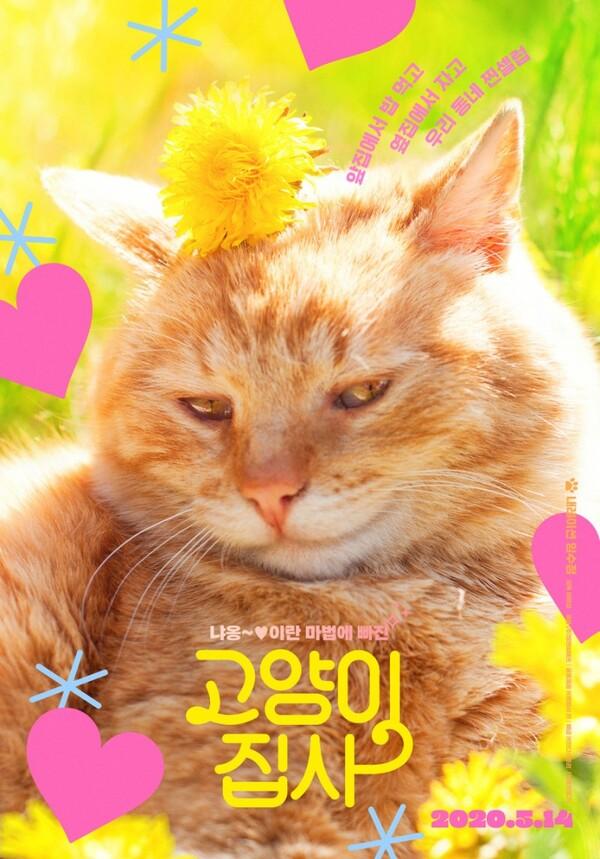 고양이 쪼렙 탈출! 별안간 길고양이 집사가 된 내가 섭렵한 고양이 영화들