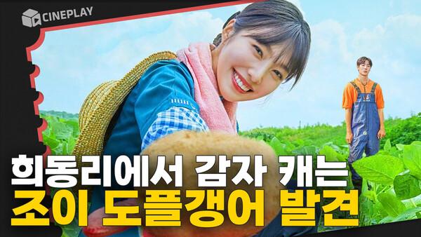 조이 도플갱어 등장하는 로맨스 힐링물 안 볼 수 있는 사람? <어쩌다 전원일기>