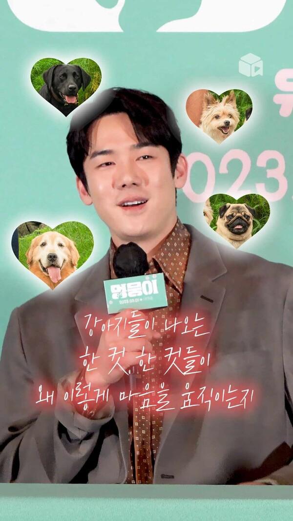 [멍뭉이] 기자간담회에서 눈물을 글썽이는 유연석 (반려인이라면 퍼가,,)
