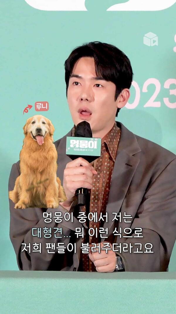 대형견이 말하는 유연석 아 아니 대형견이 말하는 대형견 [멍뭉이]