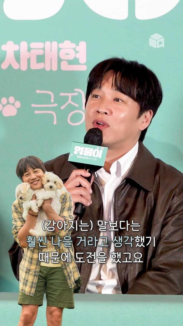 말보다는 강아지랑 촬영하는 게 훨씬 나아요 당연함 말에게 끌려다님 [멍뭉이]
