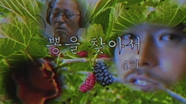 [인터뷰] 다큐멘터리 <뽕을 찾아서>로 영화제 관객 만난 프로듀서 250