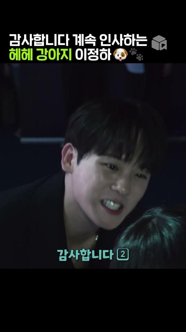 계속 인사하는 헤헤강아지 이정하 [무빙] 블루카펫 팬 쇼케이스