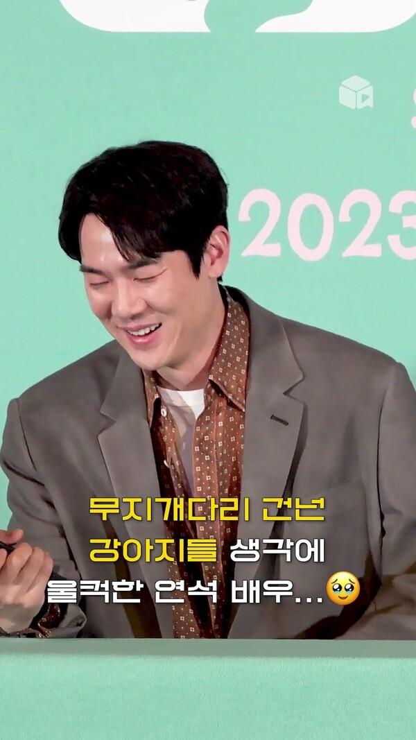 무지개다리 건넌 강아지들 생각에 눈물 터진 유연석 (feat. 주작 아닙니다) [멍뭉이]