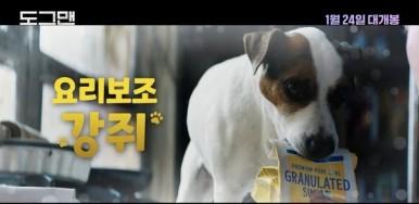개 무리의 브레인을 담당하는 강아지