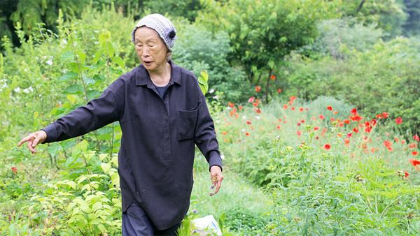 〈땅에 쓰는 시〉정영선 조경사