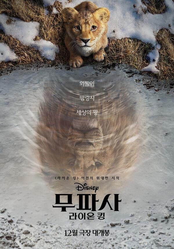 디즈니 라이브 액션〈무파사: 라이온 킹〉12월 개봉