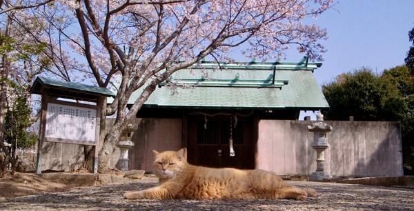 "[2024 JIFF] Turning Point at Jeonju International Film Festival, Must-See Documentary Highlights"