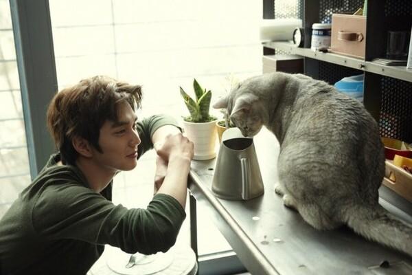 〈상상고양이〉