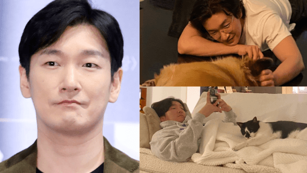 세계고양이의날! '가낳지모' 하는 냥바보 배우들