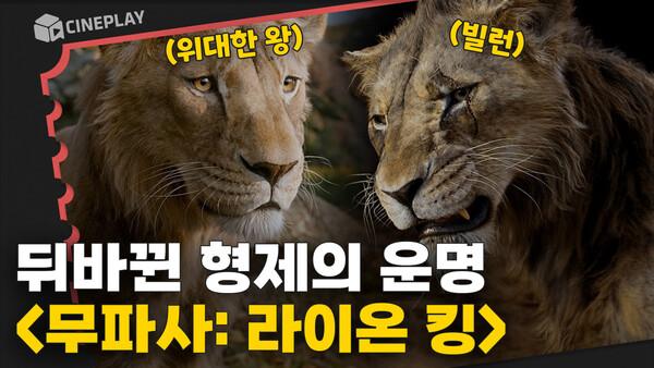 가장 가까운 형제, 적이 되어 맞서다? 30년 만에 밝혀진 비밀! [무파사: 라이온 킹]