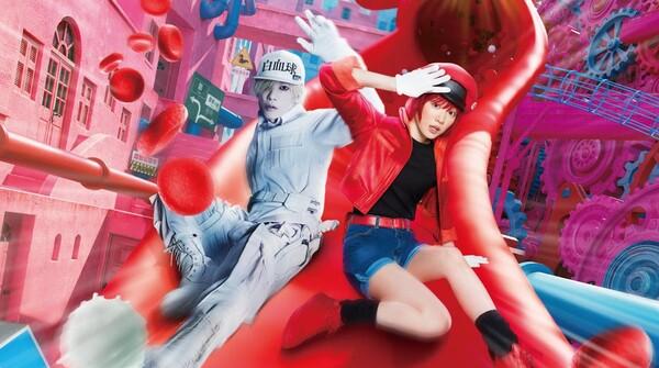 <Cells at Work>
