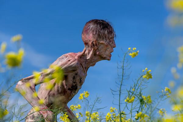 〈28년 후〉 시리즈의 정상화, 혹은 완전히 새로운 세계… 분노 바이러스 좀비들의 귀환